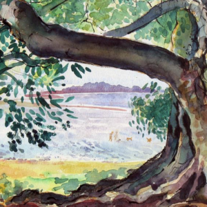 Onder de vijgenboom