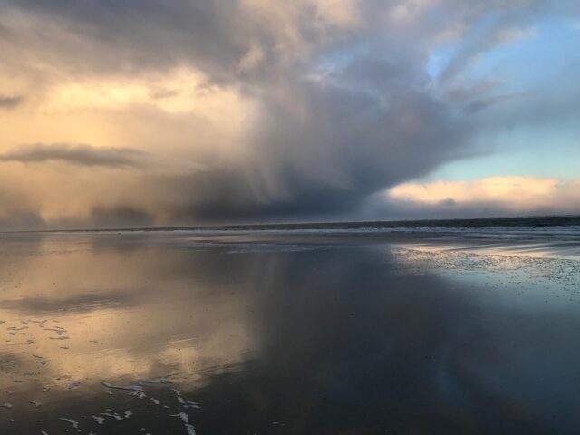 PHOTO-2026-01-28-13-31-28 PHOTO-2026-01-28-13-31-28